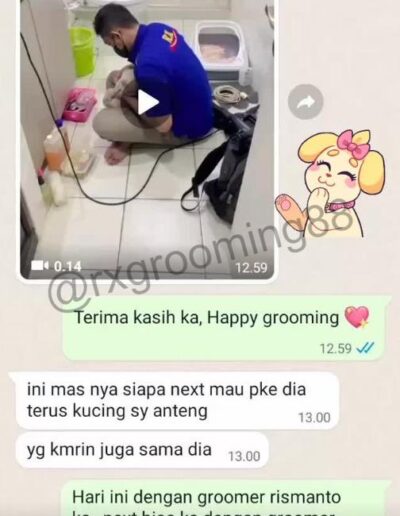 testimoni rxgrooming88 7 RX Grooming 88