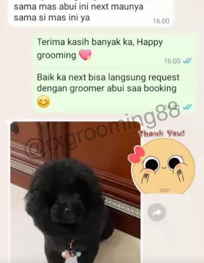 testimoni rxgrooming88 8 RX Grooming 88