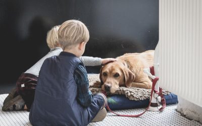 8 Rekomendasi Nama Anjing Jantan yang Bagus Indonesia